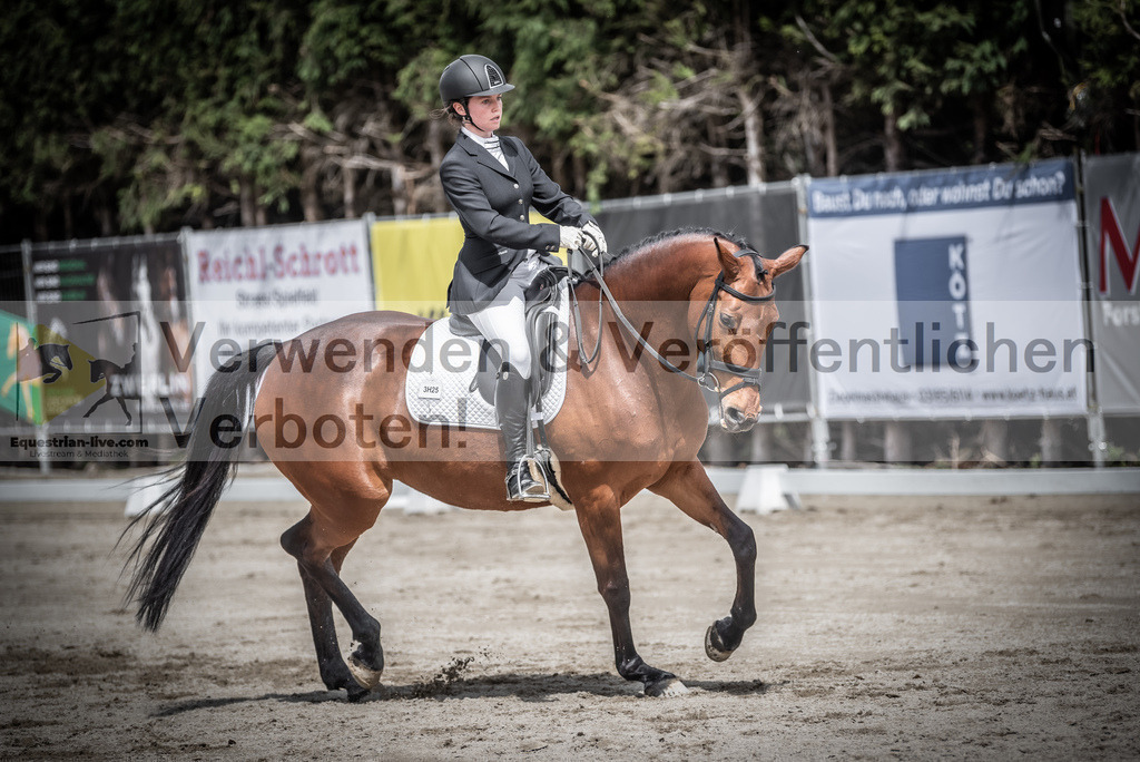 DSC_2416 | equestrian-live-com