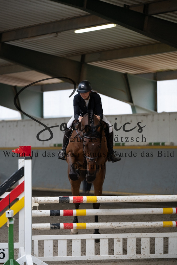 A7V08591 | Pferdefotograf