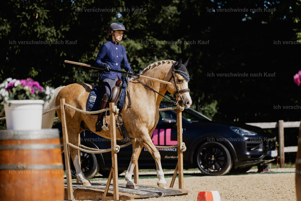 Nici11_FHC2025-27579 | working equitationturnier fotograf videograf stoibphotography marixx film working equitation deutschland reitsport turnierfotografie eventfotografie equestrian events