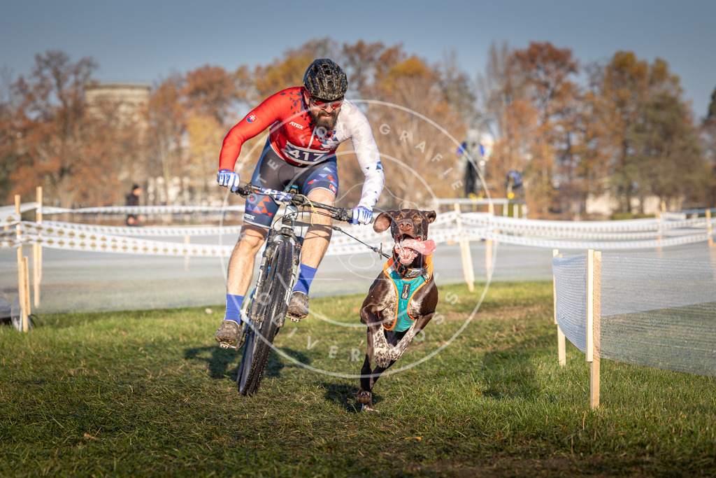 CaniXpix_0L8A4105 | Hundefotografie, Tierfotograf, Pfotenfotografie, Fotoshooting Hund, Hunde Portrait, Hundesport, Hundeportraits, Heideshooting, Hunde, Sportfotograf, Hundefotograf, Turnierhundsport, THS,  - Realisiert mit Pictrs.com