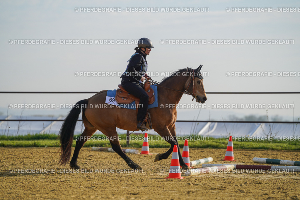 DSC00636 | Pferdegrafie