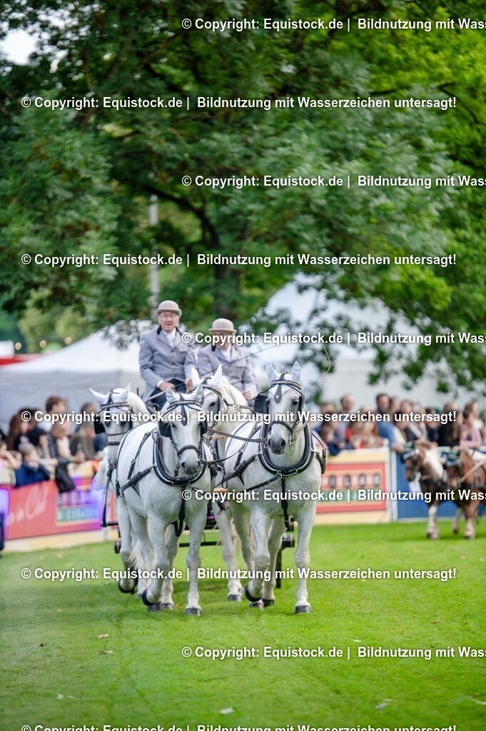 20250606_Lange-Pferdenacht_0211 | Foto: Thomas Hartig