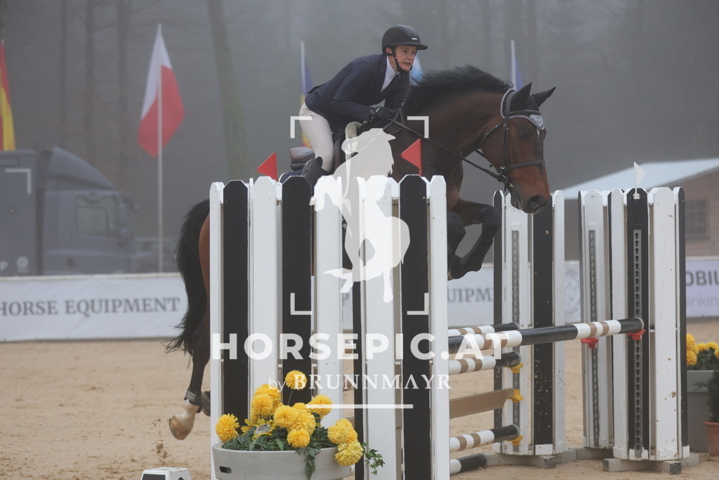0P6A7905 | Willkommen bei Brunnmayr - Design & Fotografie – Ihrem Spezialisten für Reitturniere und Pferdeveranstaltungen in Oberösterreich, Salzburg und Bayern! Seit über 17 Jahren sind wir leidenschaftlich dabei.