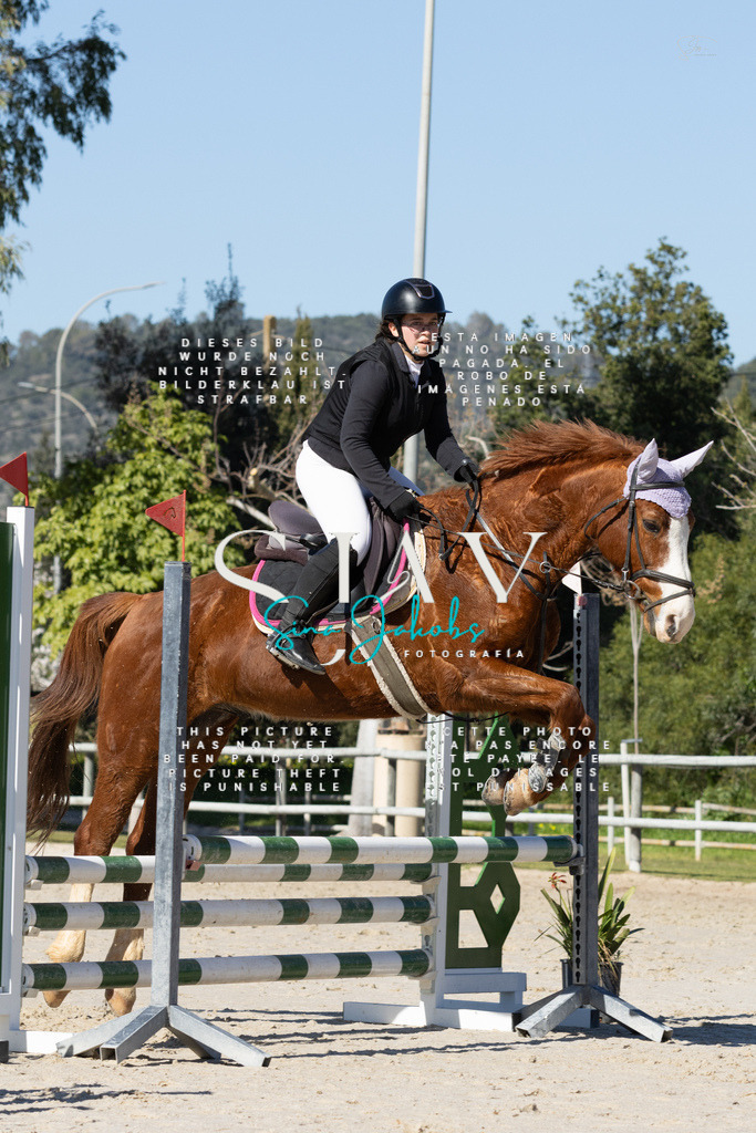 IMG_9327 | s-jay-photography - Realisiert mit Pictrs.com