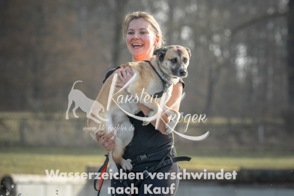 1056_ZZ90881 | kk-dogfotos