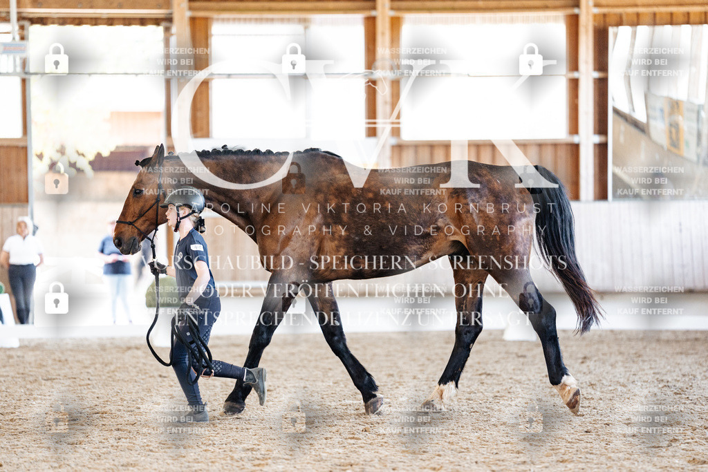 CK906474 | Turnierfotografie Pferdefotografie Trier Rheinland-Pfalz Pferdesport Reitsport Tierfotografie Sportfotografie Pferdevideo Pferdevideografie Equestrianvideography equestrianphotography  - Realisiert mit Pictrs.com