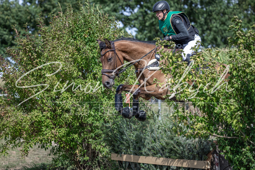 20250907-_3LI0921 | Tierfotografie Pferde, Hunde, Katzen, Haustiere.
Turnierfotografie Reitturniere, Reiten, Springreiten, Dressur in Hanau, dem Main-Kinzig-Kreis und dem Rhein-Main- Gebiet um Frankfurt