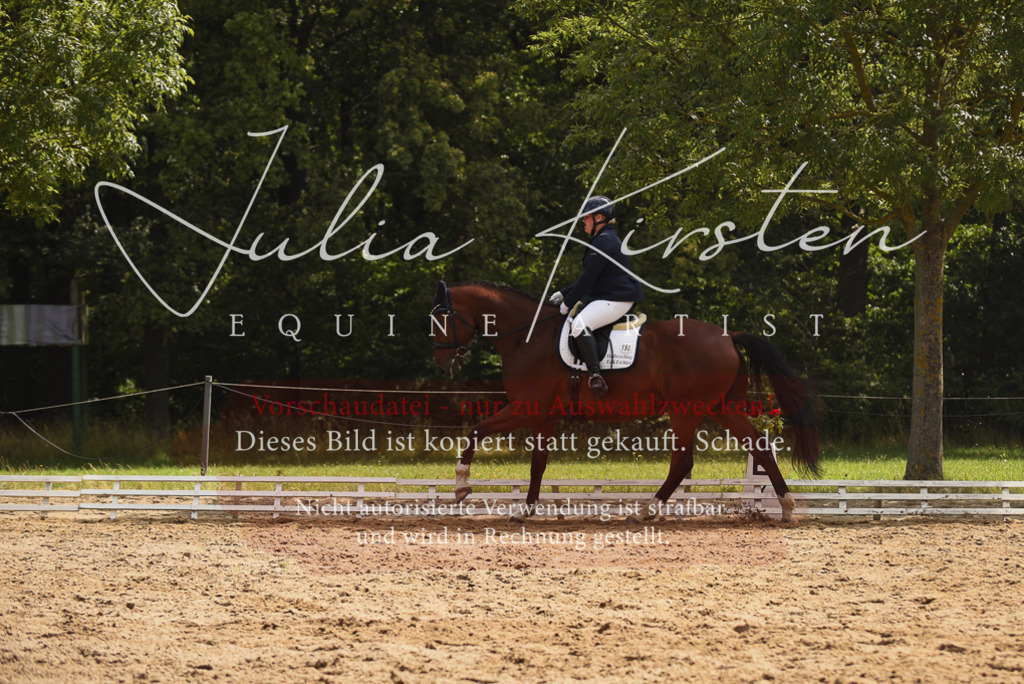 DSC_0840 | Pferde- und Turnierfotografie in Westsachsen. Pferdeportraits, Auftragszeichnungen und intuitive Kunst.