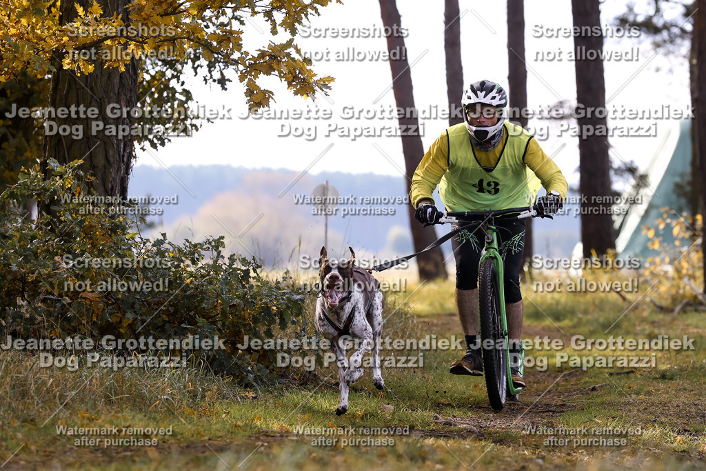 Dog Paparazzi - Elsholz 25 -168 | Dog Paparazzi Jeanette Grottendiek Fotografie & Videografie - Realisiert mit Pictrs.com