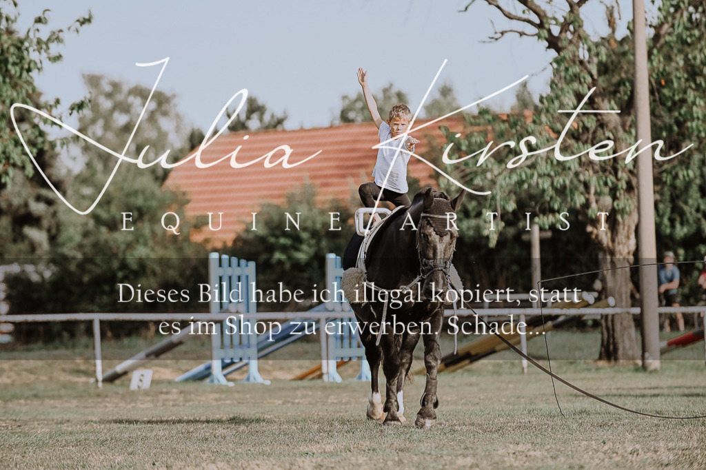 DSC_9881 | Pferde- und Turnierfotografie in Westsachsen. Pferdeportraits, Auftragszeichnungen und intuitive Kunst.