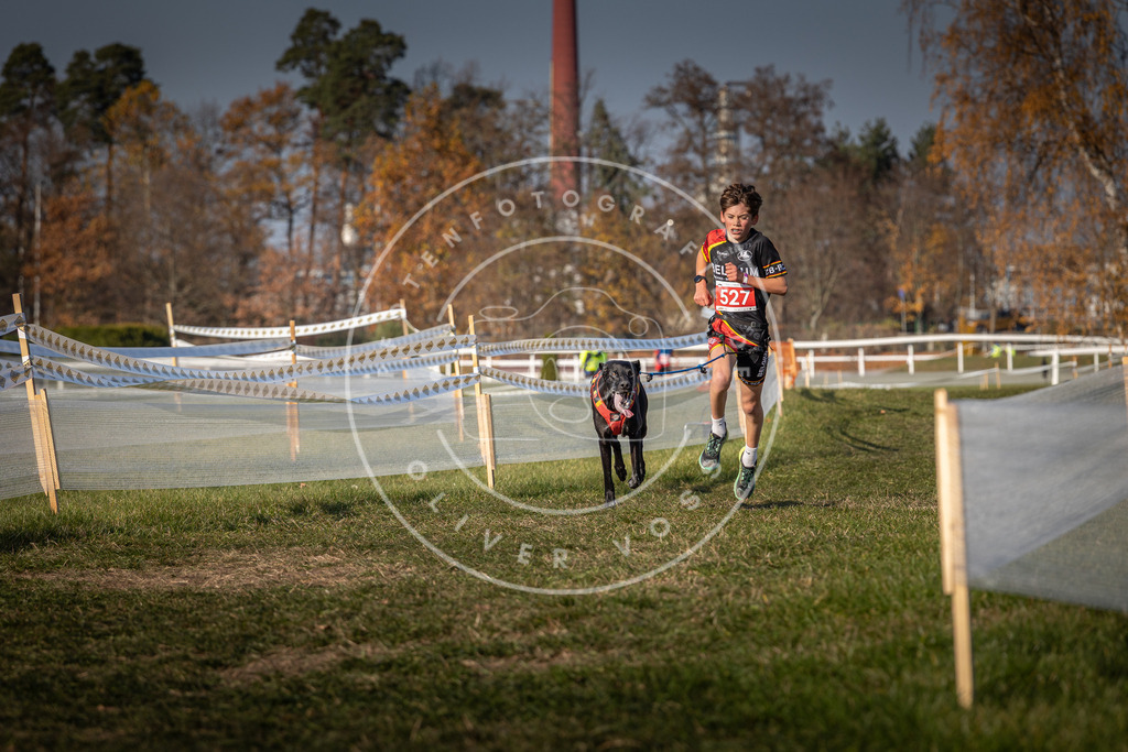 CaniXpix_0L8A8734 | Hundefotografie, Tierfotograf, Pfotenfotografie, Fotoshooting Hund, Hunde Portrait, Hundesport, Hundeportraits, Heideshooting, Hunde, Sportfotograf, Hundefotograf, Turnierhundsport, THS,  - Realisiert mit Pictrs.com
