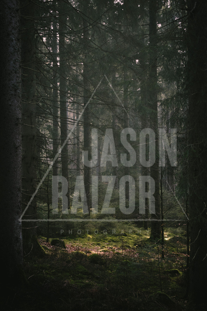 Elfen-Lichtung | jasonraizor - Realisiert mit Pictrs.com