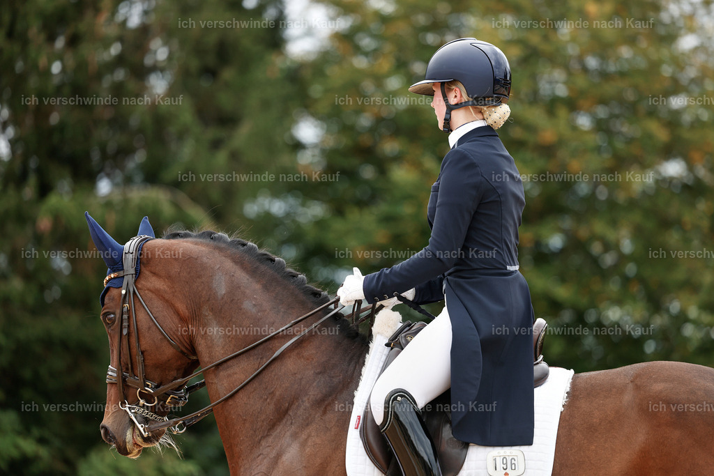 6-196-AMATUER-DRESSUR S_  -StoibPH-3519 | working equitationturnier fotograf videograf stoibphotography marixx film working equitation deutschland reitsport turnierfotografie eventfotografie equestrian events
