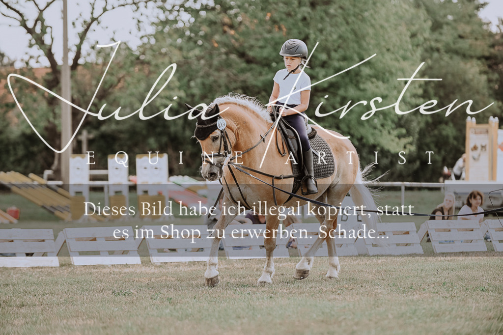 DSC_7672 | Pferde- und Turnierfotografie in Westsachsen. Pferdeportraits, Auftragszeichnungen und intuitive Kunst.