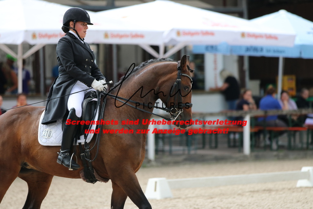 IMG_9637 | lmwpictures - Realisiert mit Pictrs.com