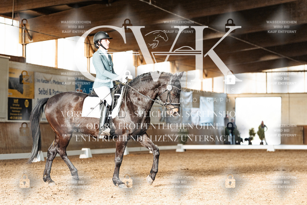 CK903194 | Turnierfotografie Pferdefotografie Trier Rheinland-Pfalz Pferdesport Reitsport Tierfotografie Sportfotografie Pferdevideo Pferdevideografie Equestrianvideography equestrianphotography  - Realisiert mit Pictrs.com