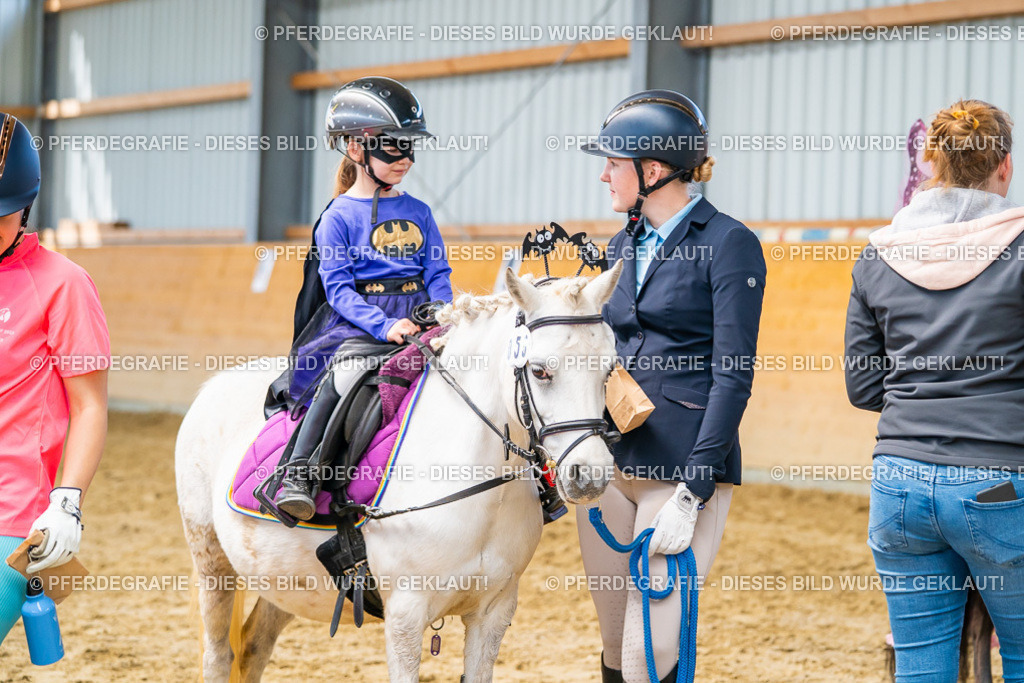 DSC00282 | Pferdegrafie