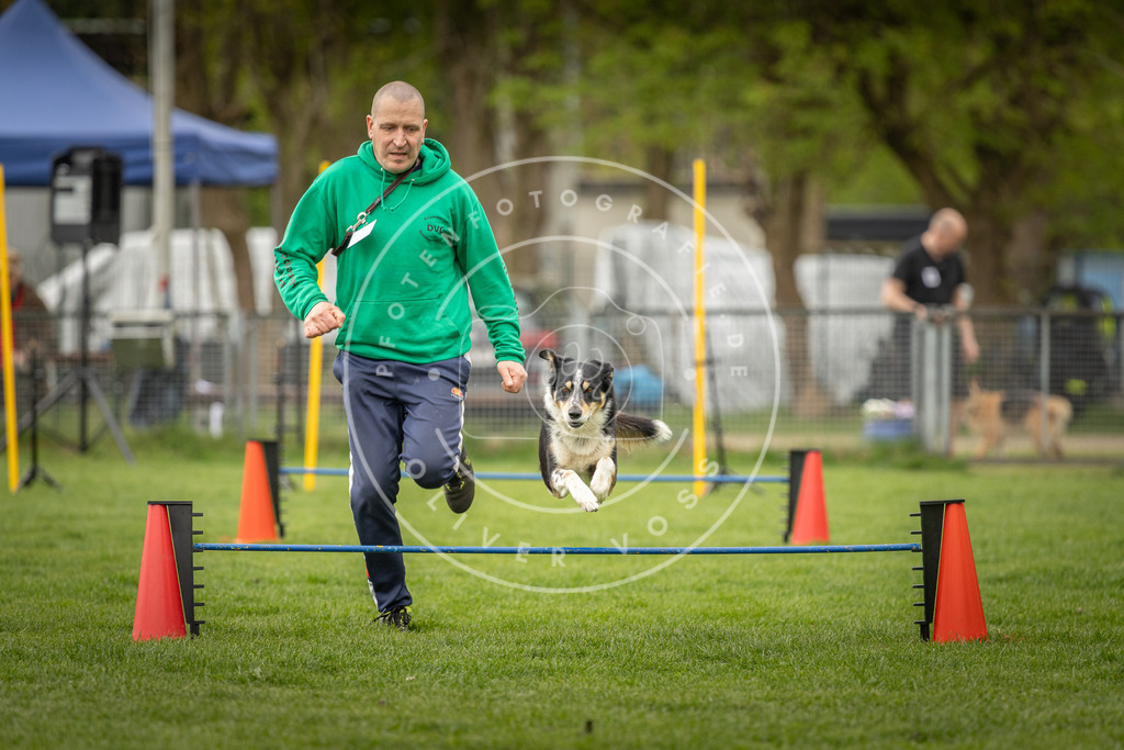 Pfotenfotografie_DV3A2698 | Hundefotografie, Tierfotograf, Pfotenfotografie, Fotoshooting Hund, Hunde Portrait, Hundesport, Hundeportraits, Heideshooting, Hunde, Sportfotograf, Hundefotograf, Turnierhundsport, THS,  - Realisiert mit Pictrs.com
