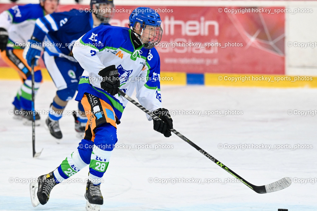  EC Tigers Paternion vs. EC Virgen 8.1.2022 | #28 Bstieler Oliver