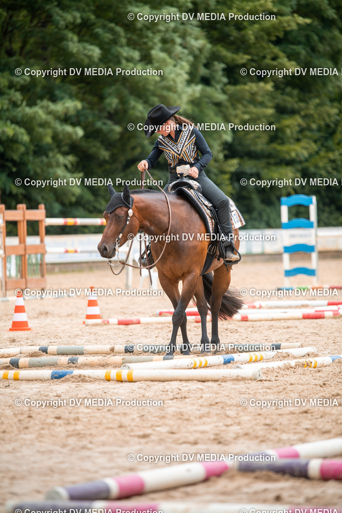 ZS2_7983 | dv-media-shop - Realisiert mit Pictrs.com