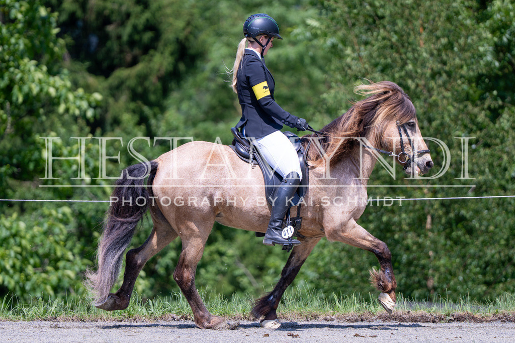 KAI04224 | Ihr sucht einen Fotografen für eure nächste OSI? Ich begleite auch euer Turnier für Islandpferde fotografisch.  - Realisiert mit Pictrs.com
