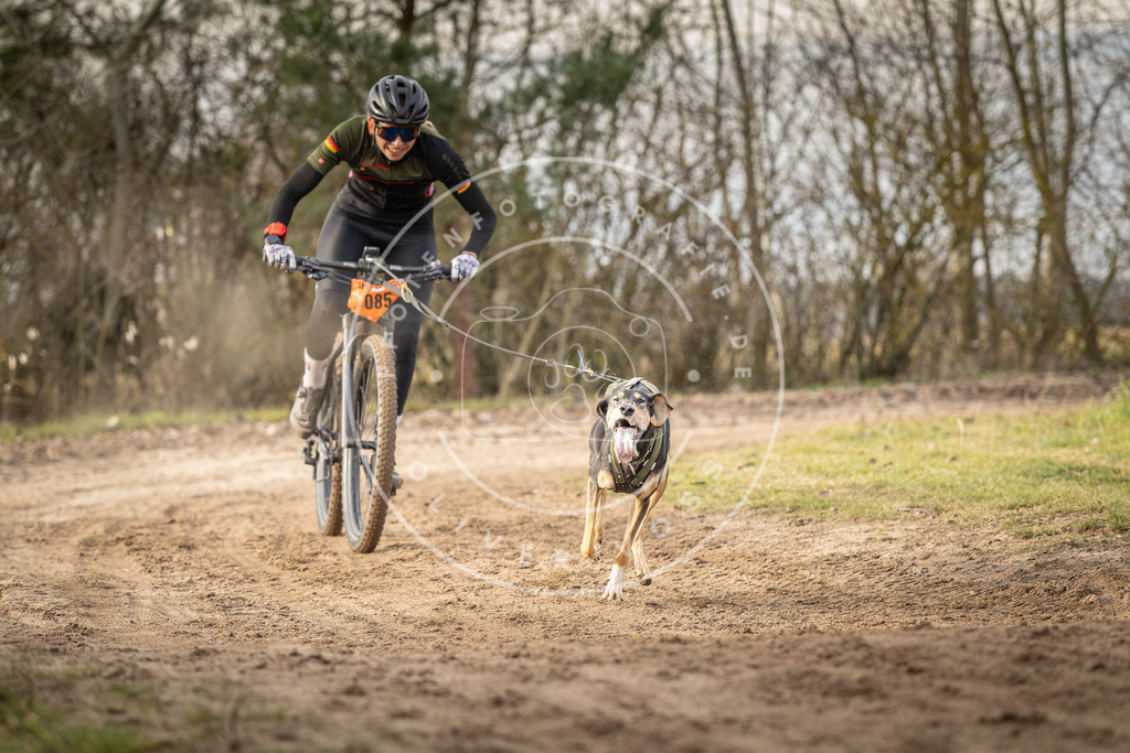 Pfotenfotografie_DV3A7596 | Hundefotografie, Tierfotograf, Pfotenfotografie, Fotoshooting Hund, Hunde Portrait, Hundesport, Hundeportraits, Heideshooting, Hunde, Sportfotograf, Hundefotograf, Turnierhundsport, THS,  - Realisiert mit Pictrs.com
