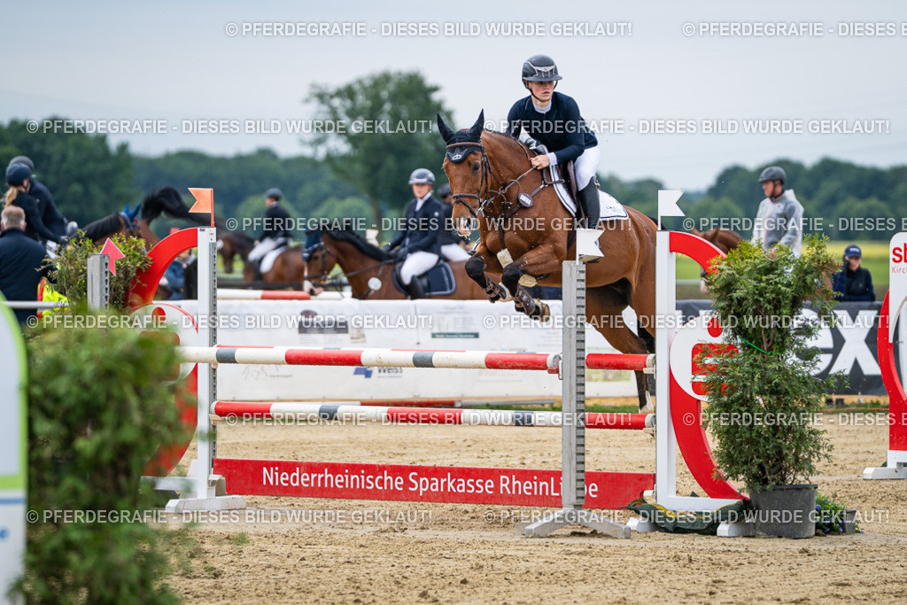 DSC05025 | Pferdegrafie