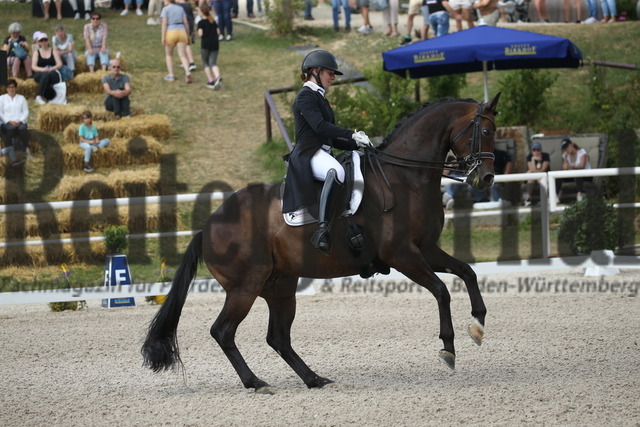 Birkhof_2022_GrandPrixSpecial_Nicole Isser_DiCaprio 4 (20) | Alle Fotos der Reiterjournal Fotografin Doris Matthaes im Reiterjournal Online-Fotoshop. - Realisiert mit Pictrs.com