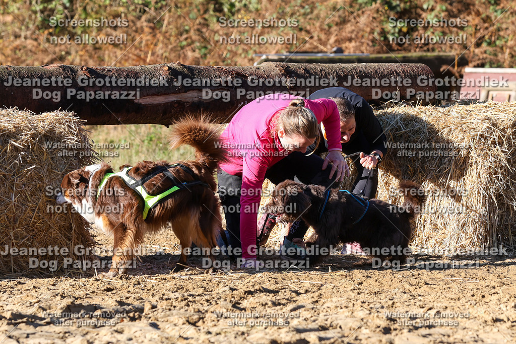 Dog Paparazzi - Strongdog 10-25-1749 | Dog Paparazzi Jeanette Grottendiek Fotografie & Videografie