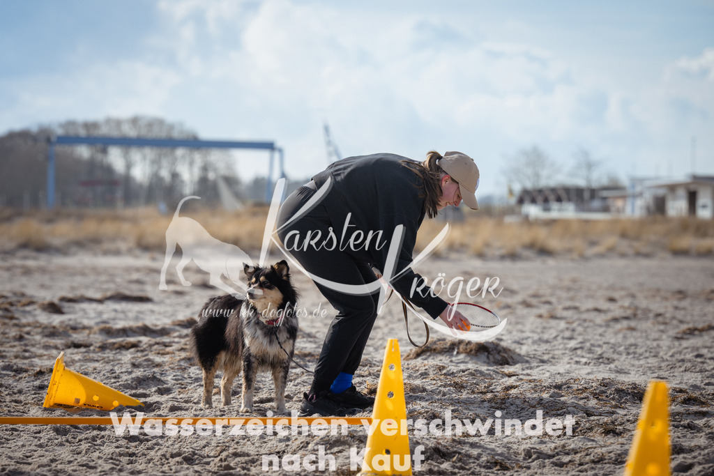 1301_ZZ99949 | kk-dogfotos