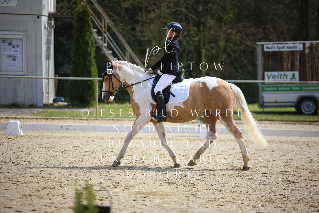 IMGT4196 | pl-fotografie