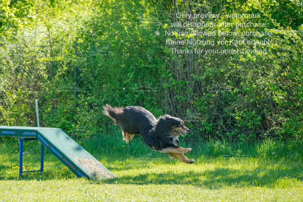 Sa_VK3_03-10 | stephaniefillaphotographie - Realisiert mit Pictrs.com