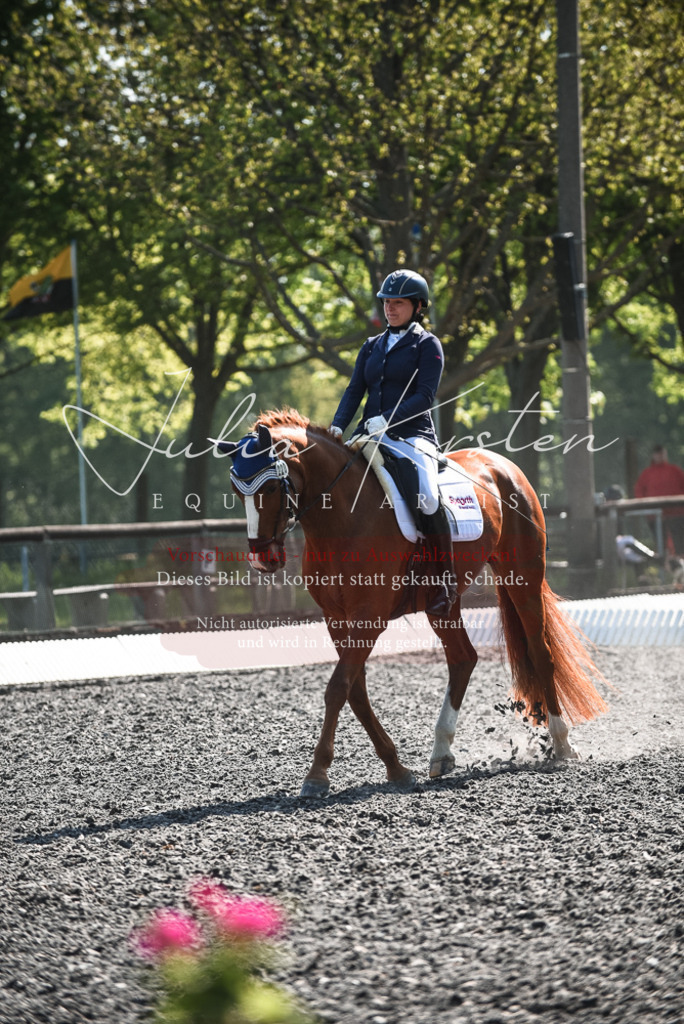 DSC_8836 | Pferde- und Turnierfotografie in Westsachsen. Pferdeportraits, Auftragszeichnungen und intuitive Kunst.