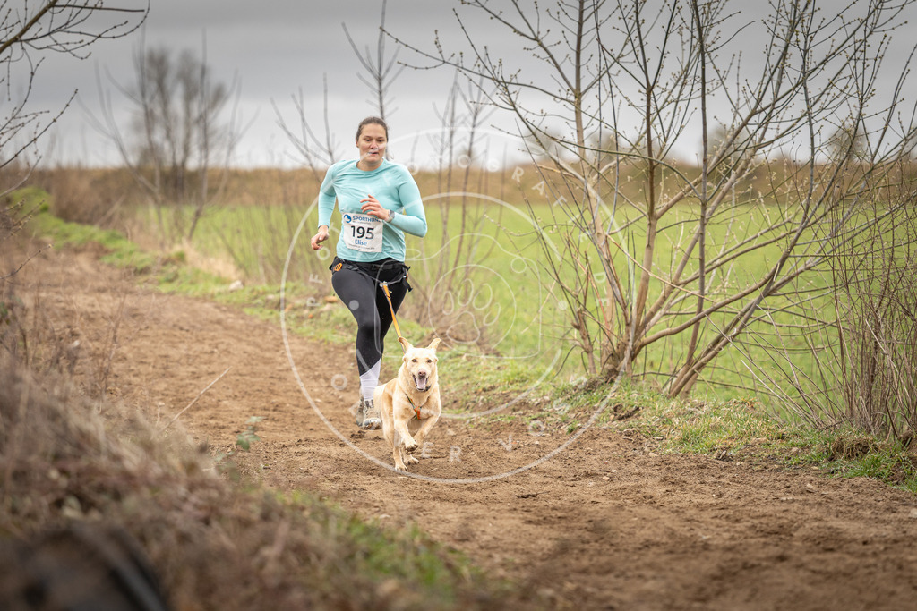 DV3A2293 | Hundefotografie, Tierfotograf, Pfotenfotografie, Fotoshooting Hund, Hunde Portrait, Hundesport, Hundeportraits, Heideshooting, Hunde, Sportfotograf, Hundefotograf, Turnierhundsport, THS,  - Realisiert mit Pictrs.com