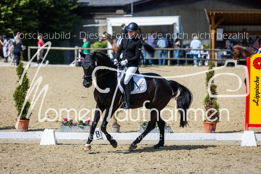 Donop24-L-Dre-088 | MomenTaufnahmen Pferdesportfotos