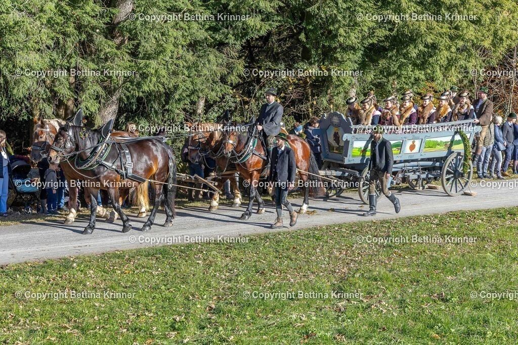 LBT25-503 | foto-bettina-krinner - Realisiert mit Pictrs.com