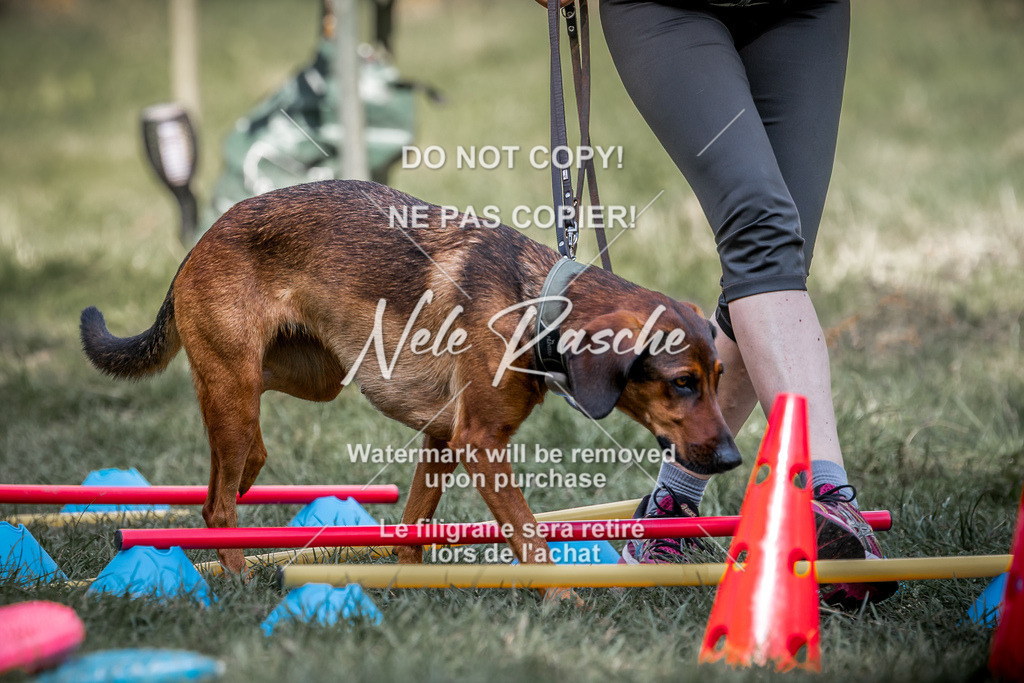 nelerasche_slaw24Sa_130 | nelerasche