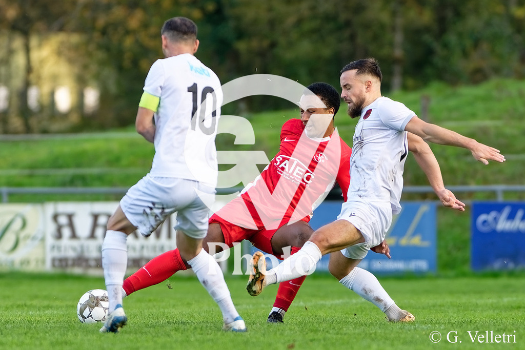 DZ8_9349 | Velletri Photo