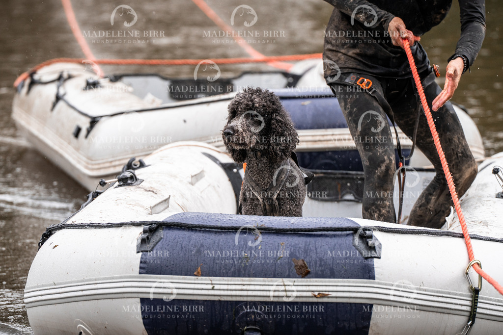 madeleinebirr-fotografie2025.campcanis.11-12Uhr-169 | hundefotografie-birr