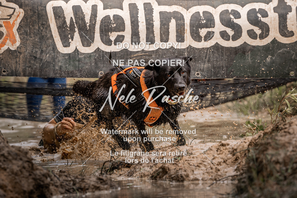 nelerasche_Hoope2026_Sa1030-1100_123 | nelerasche
