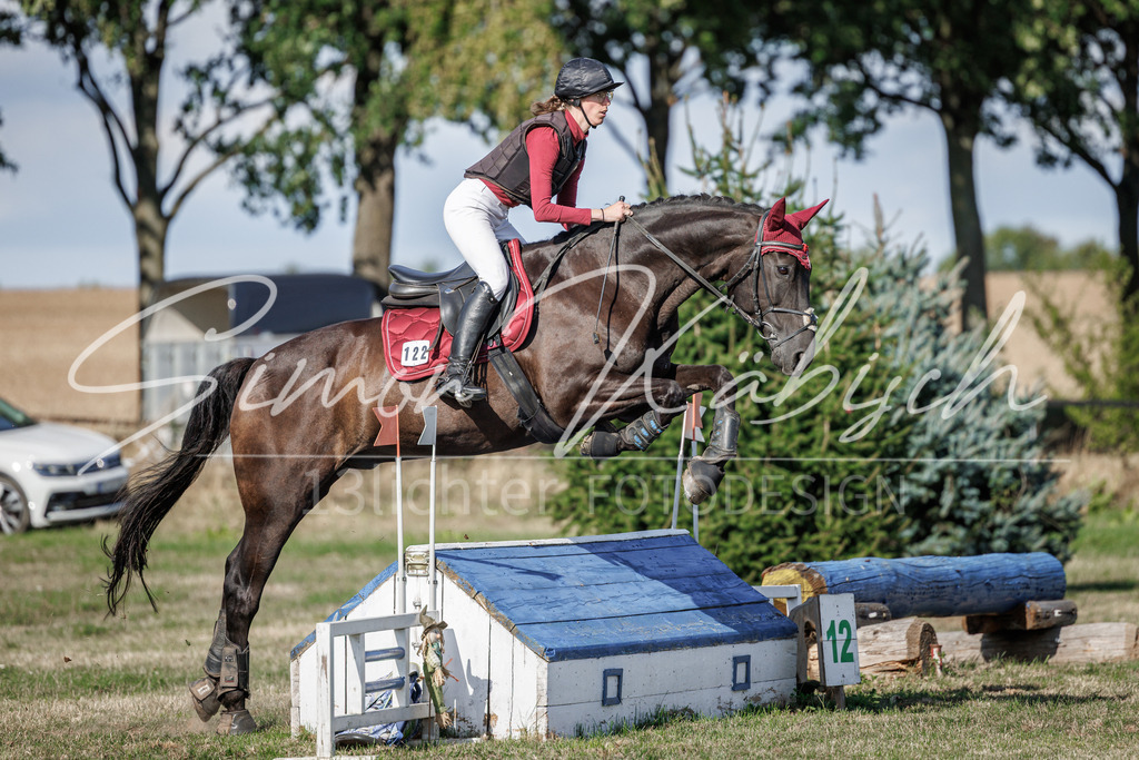 20260905-_3LI0204 | Tierfotografie Pferde, Hunde, Katzen, Haustiere.
Turnierfotografie Reitturniere, Reiten, Springreiten, Dressur in Hanau, dem Main-Kinzig-Kreis und dem Rhein-Main- Gebiet um Frankfurt