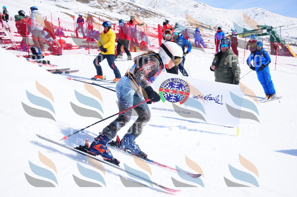 DSC_5151 | holidayphoto