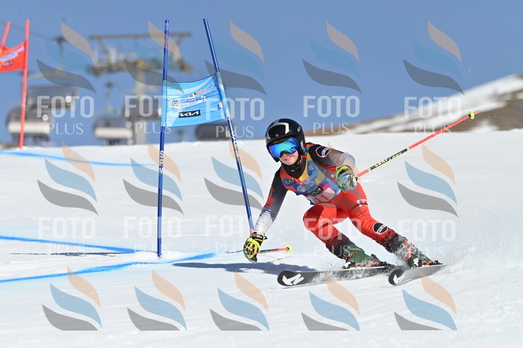 BGV_7781 | holidayphoto