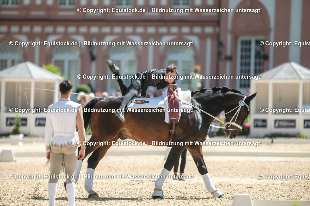 20230528_Voltigieren_NASPA_0118 | equistock