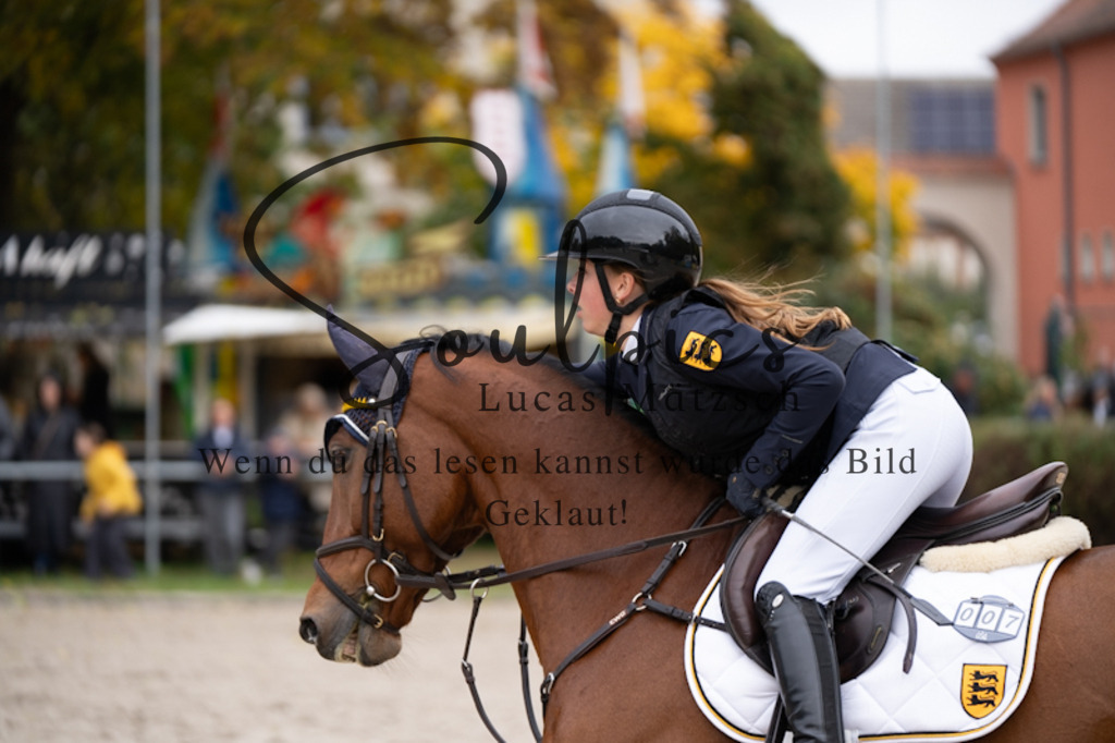 A7V01014 | Pferdefotograf