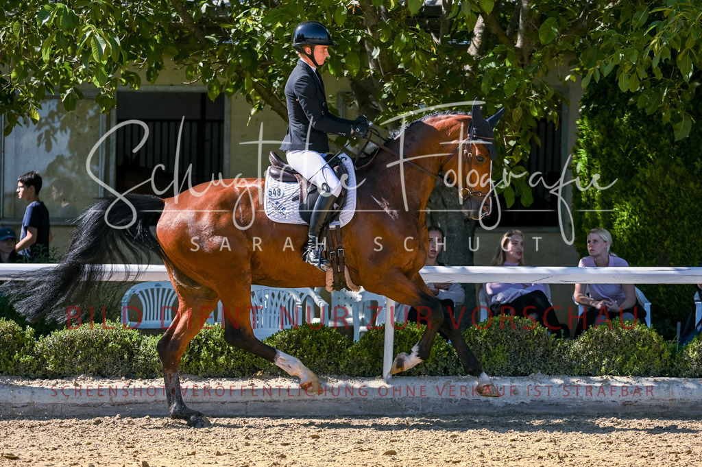 Schugtsche-Aluta25-50.Dressurpferdeprf.L-148 | Schugtsche Fotografie - Realisiert mit Pictrs.com