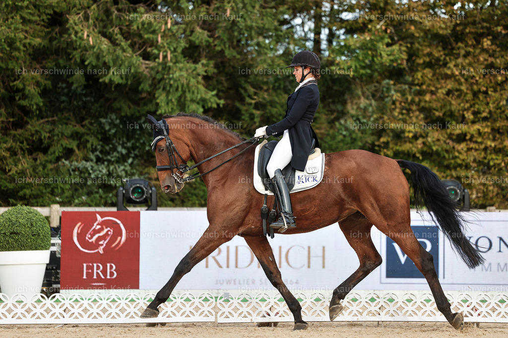 13-072-S___ -StoibPH-7000 | working equitationturnier fotograf videograf stoibphotography marixx film working equitation deutschland reitsport turnierfotografie eventfotografie equestrian events