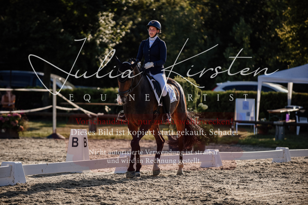 DSC_0640 | Pferde- und Turnierfotografie in Westsachsen. Pferdeportraits, Auftragszeichnungen und intuitive Kunst.