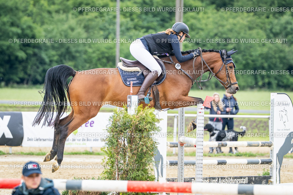 DSC04561 | Pferdegrafie