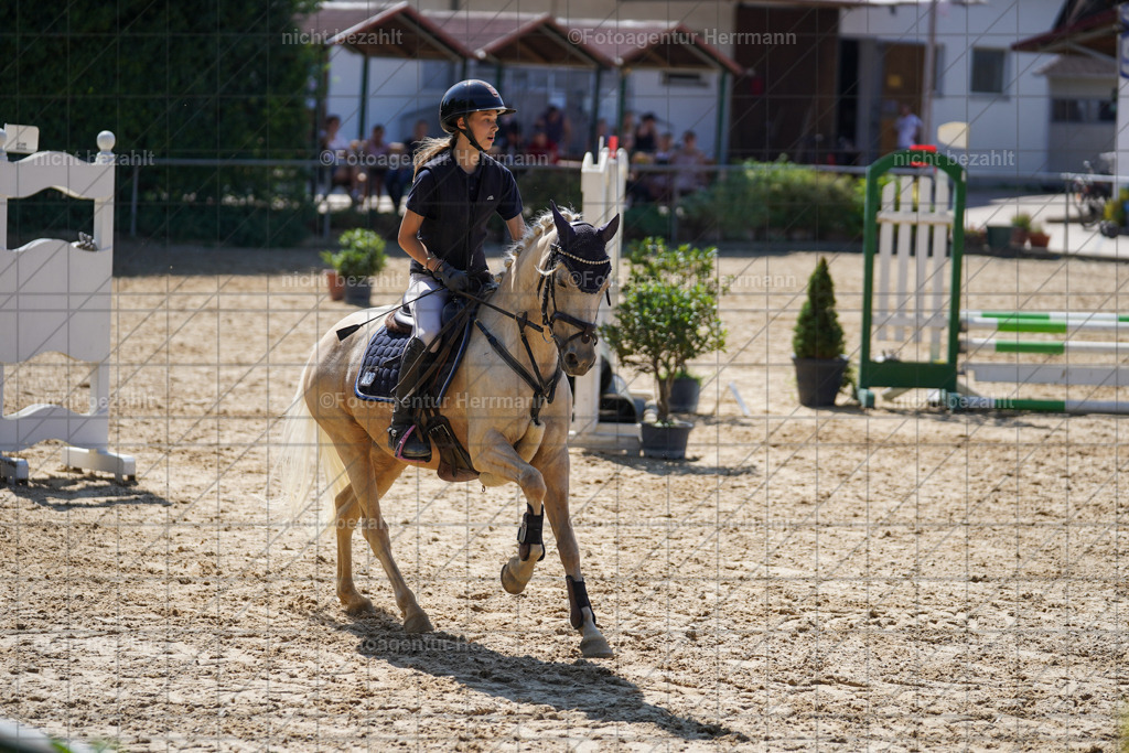 20240824-FAH08048 | Thierhaupten 2024, Bayerisches Landesponyturnier, Turnierbilder, Ponybilder, Turnierfotografen Bayern, Fotoagentur Herrmann